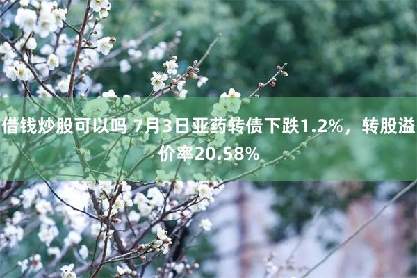 借钱炒股可以吗 7月3日亚药转债下跌1.2%，转股溢价率20.58%