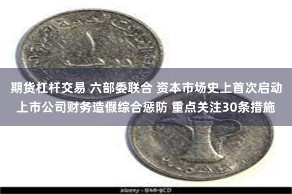 期货杠杆交易 六部委联合 资本市场史上首次启动上市公司财务造假综合惩防 重点关注30条措施