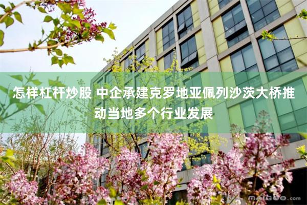 怎样杠杆炒股 中企承建克罗地亚佩列沙茨大桥推动当地多个行业发展