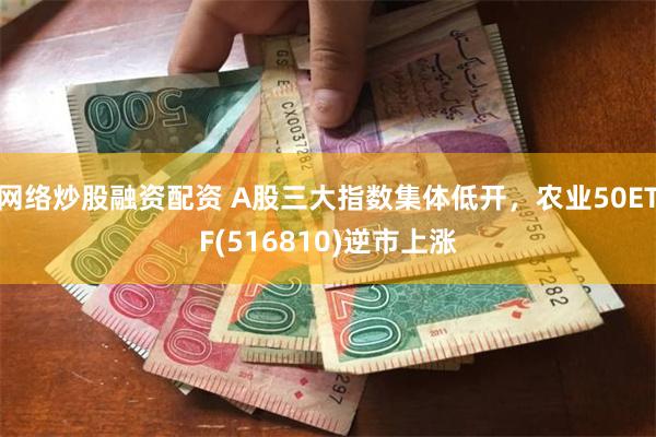 网络炒股融资配资 A股三大指数集体低开，农业50ETF(516810)逆市上涨