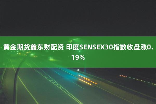 黄金期货鑫东财配资 印度SENSEX30指数收盘涨0.19%