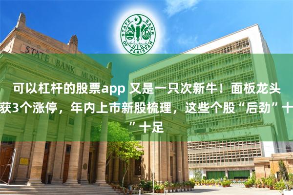 可以杠杆的股票app 又是一只次新牛！面板龙头连获3个涨停，年内上市新股梳理，这些个股“后劲”十足