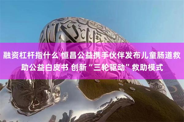 融资杠杆指什么 恒昌公益携手伙伴发布儿童肠道救助公益白皮书 创新“三轮驱动”救助模式