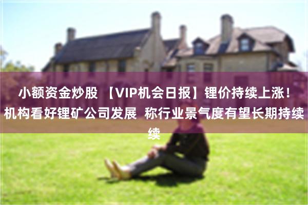 小额资金炒股 【VIP机会日报】锂价持续上涨！机构看好锂矿公司发展  称行业景气度有望长期持续