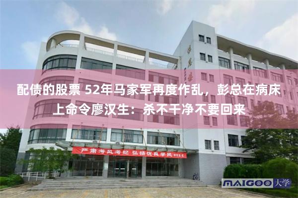 配债的股票 52年马家军再度作乱，彭总在病床上命令廖汉生：杀不干净不要回来