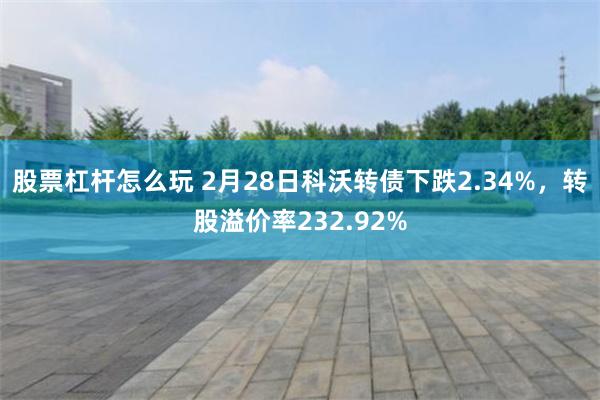 股票杠杆怎么玩 2月28日科沃转债下跌2.34%，转股溢价率232.92%