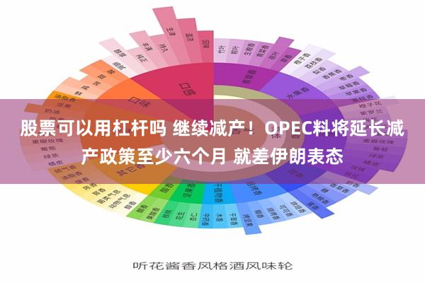 股票可以用杠杆吗 继续减产！OPEC料将延长减产政策至少六个月 就差伊朗表态