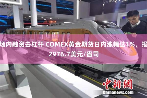 场内融资去杠杆 COMEX黄金期货日内涨幅达1%，报2976.7美元/盎司